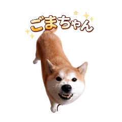 Akiko_20260326160854