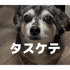 kainiiyanuc_20260326161408