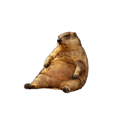 kanaria_20260326161519