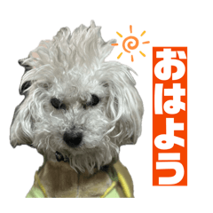 ogisan_20260326160917