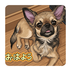 NEKOSUKE_20260326161115