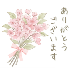 Mimosa Gentle Adult Stickers