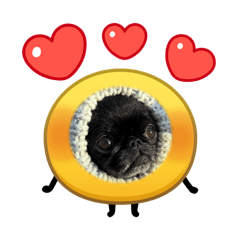 kunugi_20260326174727