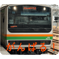 Medatti_20260326180335