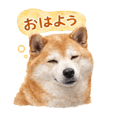 milky_20260326180025