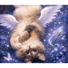 mukobox_20260326201155