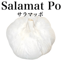 Raw garlic 17