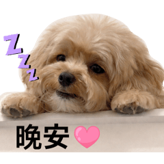 林嘟嘟的日常對話2