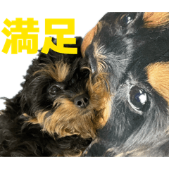 ruarua_20260326174538