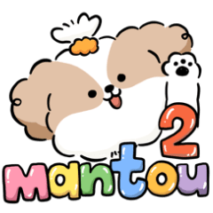Mantou the shihtzu 2