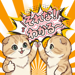 Scottish Fold Emoji Stickers 0303