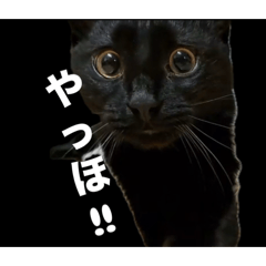 yoshida_20260326201640