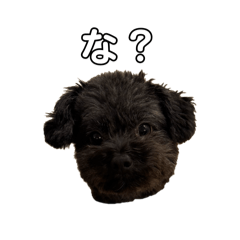 hisatomi_20260326201529