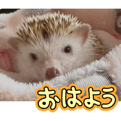 minamiuri_20260326210303