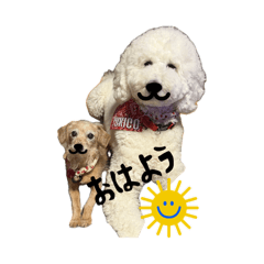 Chiiroco_20260326210231