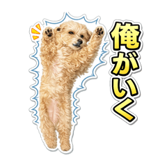 taiga0331_20260326211156