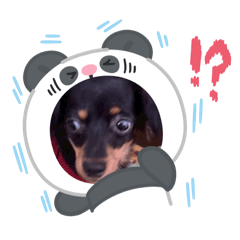 Nanami Matsui_20260326212604