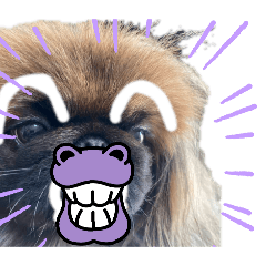 akaringo_20260326212803