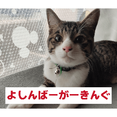 takanu-_20260326213222