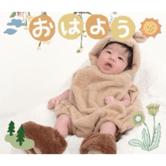 cat.bibili_20260326213430