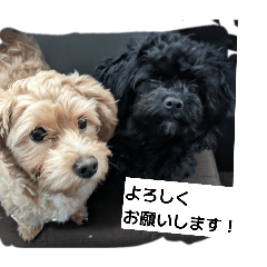 touwa_20260326213730