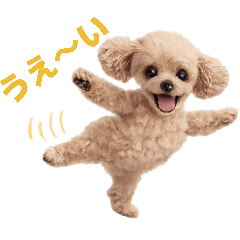 wagamamapoo_20260326210024