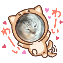 Shuzo_20260326213435