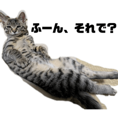 mutsugoro_20260326183652