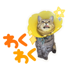 omumu_20260326183241