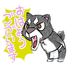 matsu_20260326214156