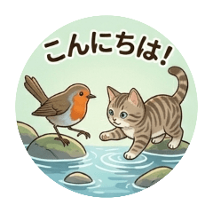 The view seen by cats and birds