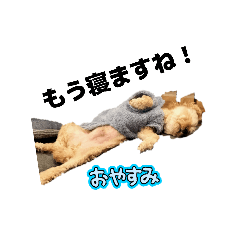 komugi_20260326215350