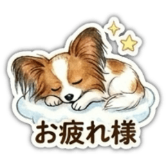 Happy Tail_20260326224737