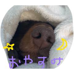 ayumi_20260326225403