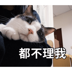 《搭波醬：情緒管理零分》