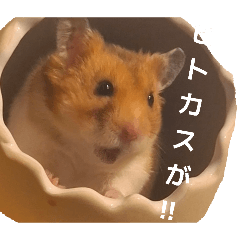 sugoi_20260323181849