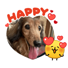 really_20260326162154