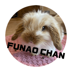 kinacoco_20260326192106