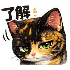 Everyday Calico Cat Vivi