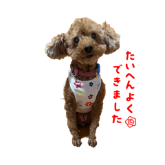 cocoroyama_20260326221633