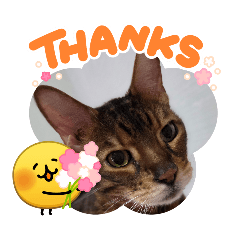 makiko_20260326222224