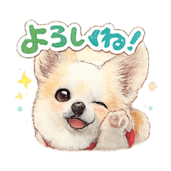 poohchan_20260327004957