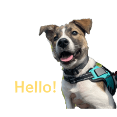 Owner N_20260327010242