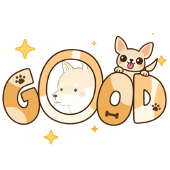 Shiba_20260323195240