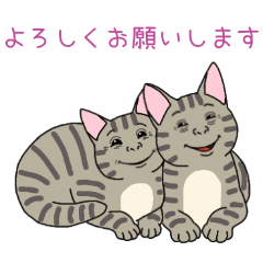 PAKAMOGOLY_20260327000643