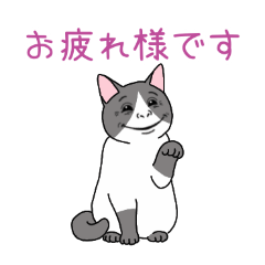 PAKAMOGOLY_20260327001013