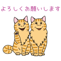 PAKAMOGOLY_20260327000607