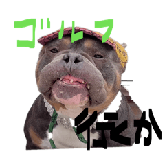 Manami_20260327002056