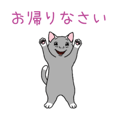 PAKAMOGOLY_20260327001333