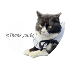 una una_20260326232610